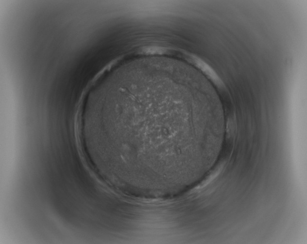 X0000113930722200910021242