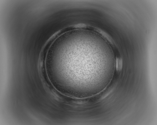 X0000113930723200910021242