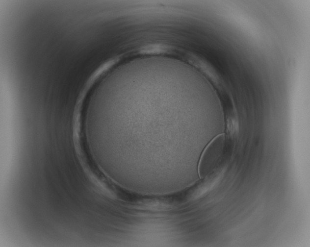 X0000113930724200910021242