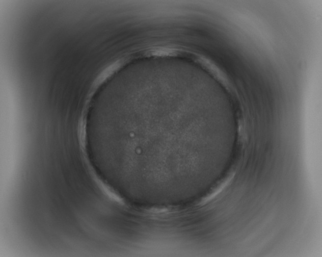 X0000113930725200910021242