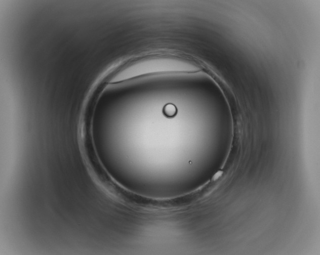 X0000113930726200910021242