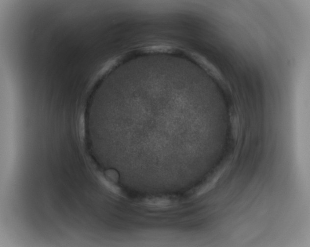 X0000113930729200910021242
