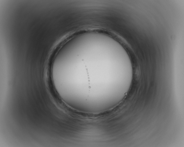 X0000113930732200910021242