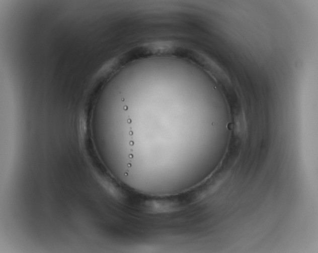 X0000113930733200910021242