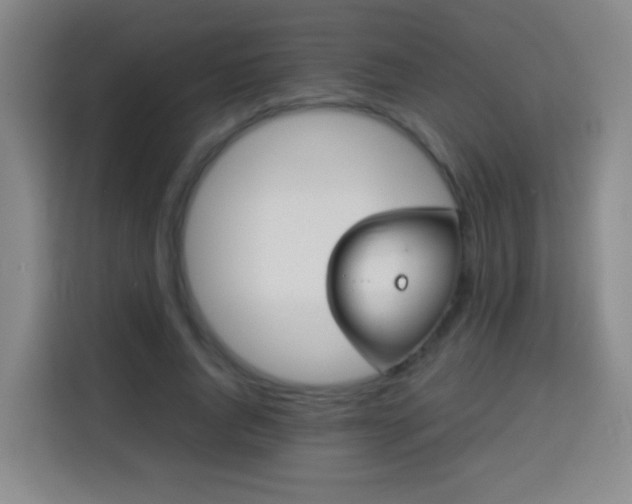 X0000113930736200910021242
