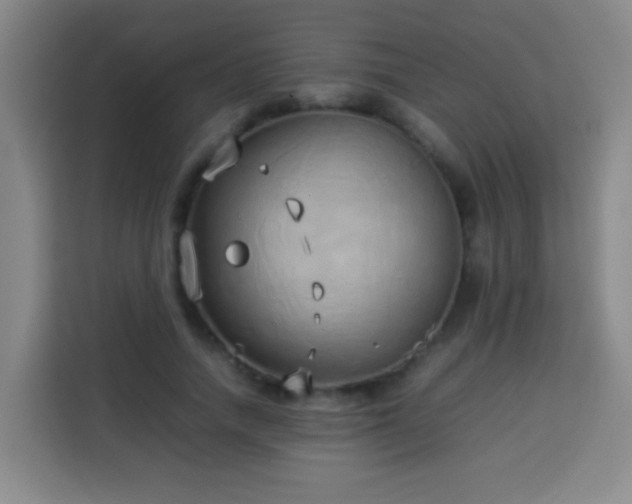 X0000113930738200910021242