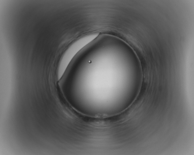 X0000113930740200910021242