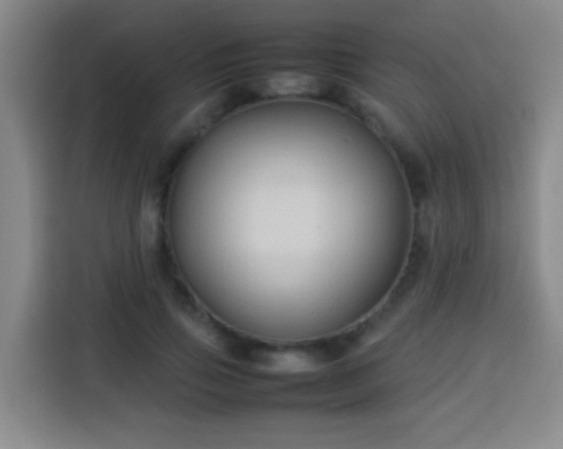 X0000113930741200910021242