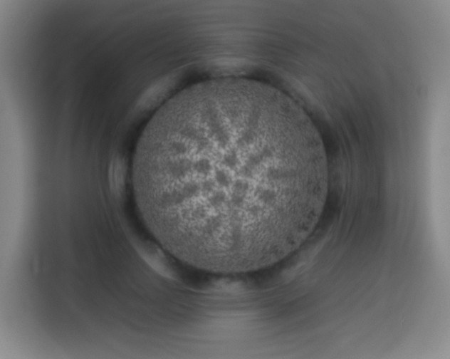 X0000113930742200910021242