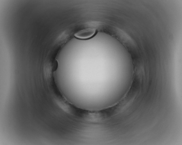 X0000113930744200910021242
