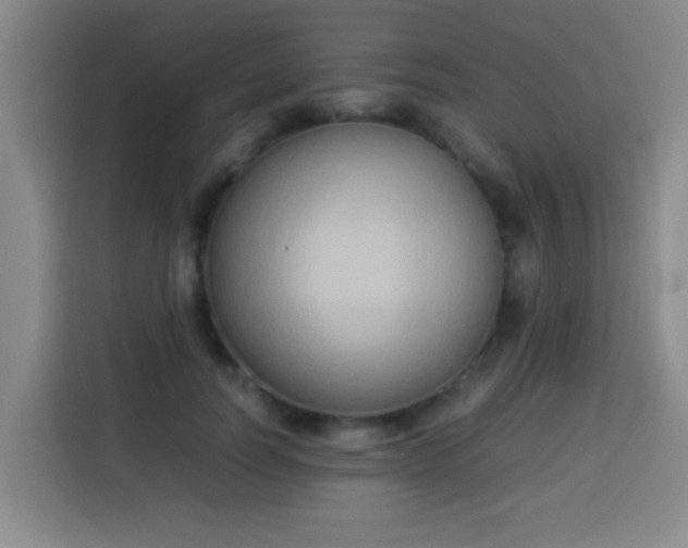 X0000113930746200910021242