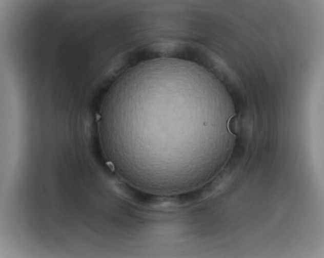 X0000113930750200910021242