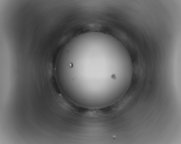 X0000113930752200910021242