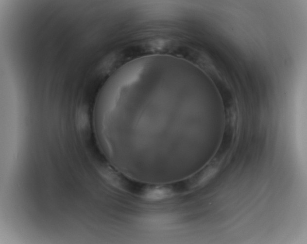 X0000113930754200910021242