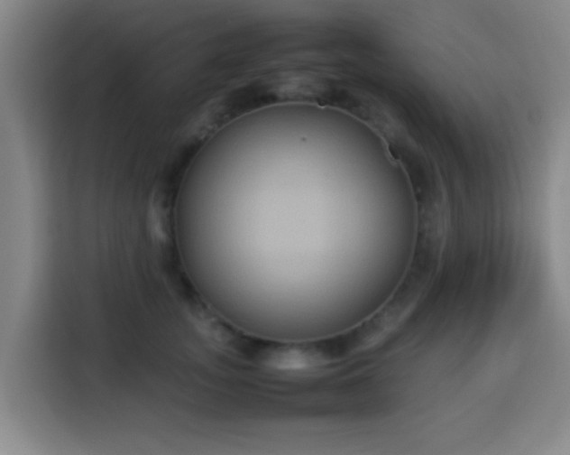 X0000113930755200910021242