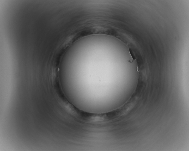 X0000113930756200910021242