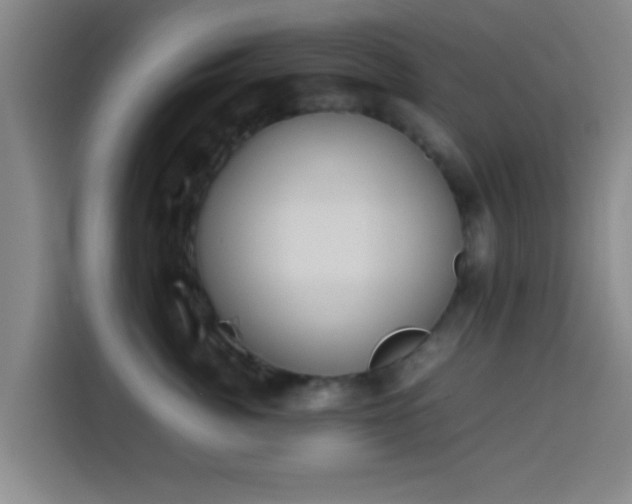 X0000113930764200910021242