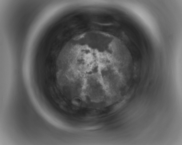 X0000113930765200910021242