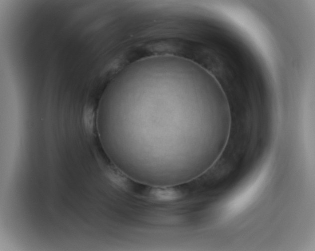 X0000113930767200910021242