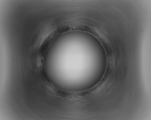 X0000113930770200910021241