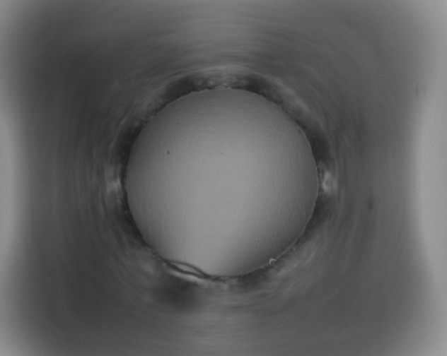 X0000113930771200910021241