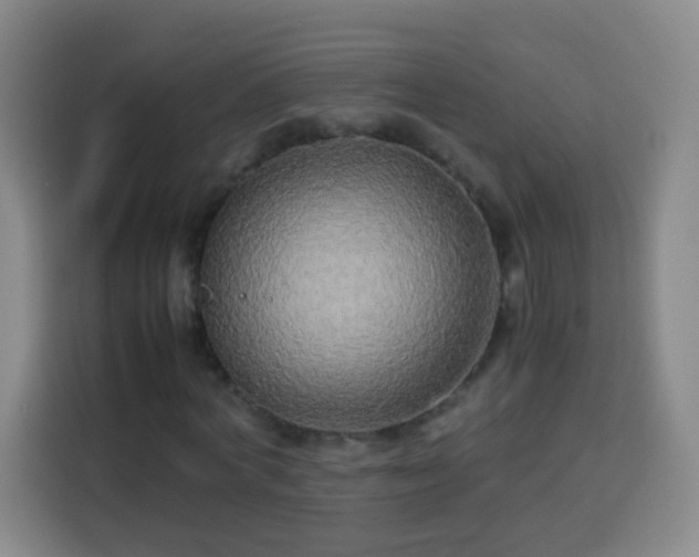 X0000113930772200910021241