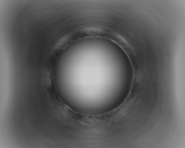 X0000113930774200910021241
