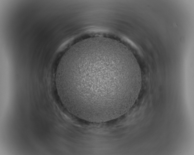 X0000113930775200910021241