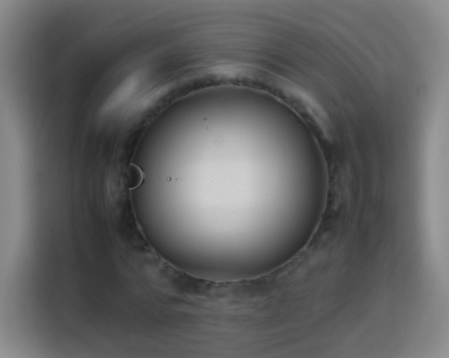 X0000113930776200910021241
