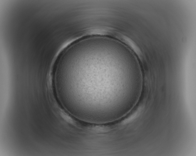X0000113930779200910021241