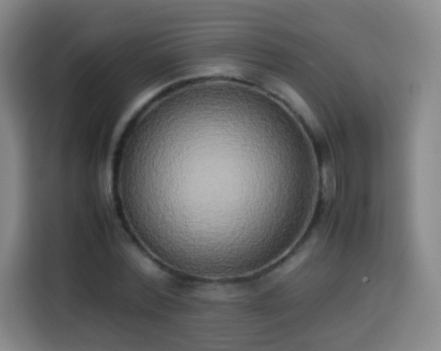 X0000113930780200910021241