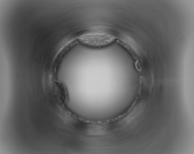 X0000113930781200910021241