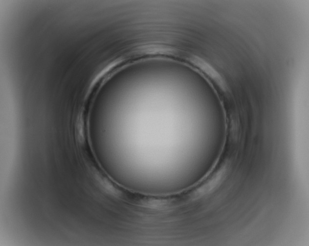 X0000113930782200910021241