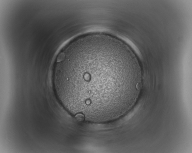 X0000113930783200910021241