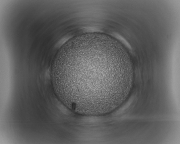 X0000113930785200910021241