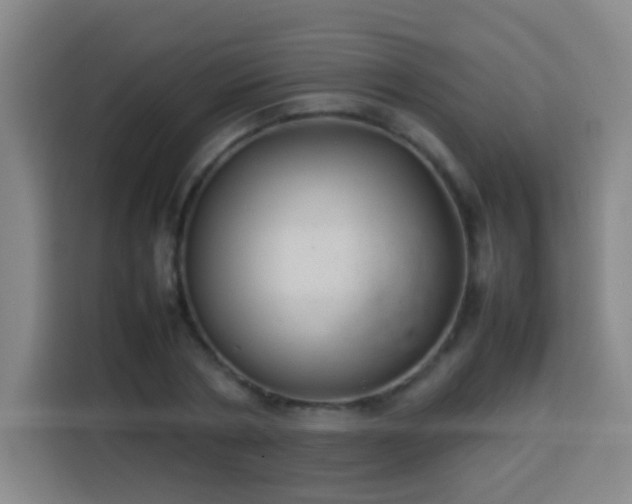 X0000113930786200910021241
