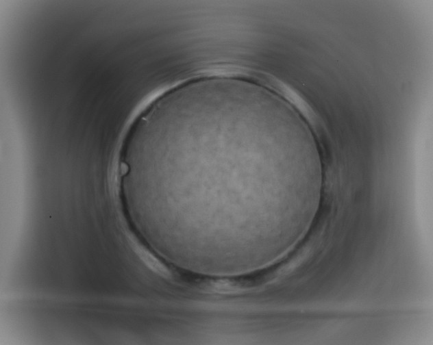 X0000113930787200910021241
