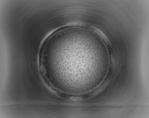 X0000113930788200910021241