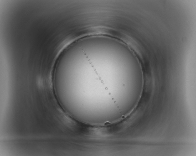 X0000113930789200910021241