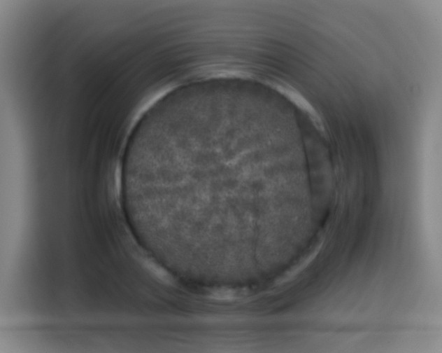 X0000113930790200910021241