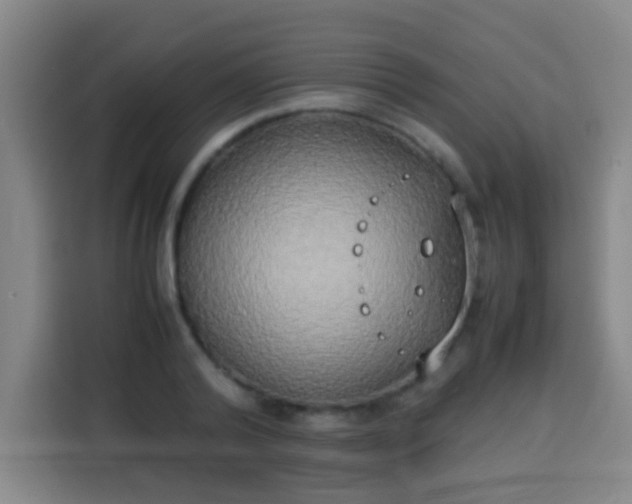 X0000113930792200910021241