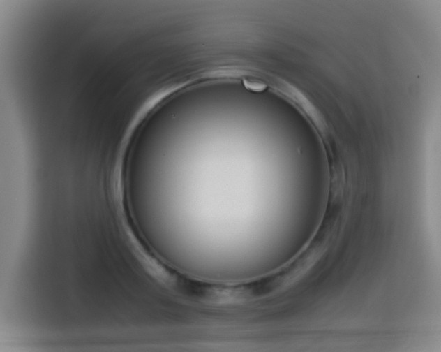 X0000113930795200910021241
