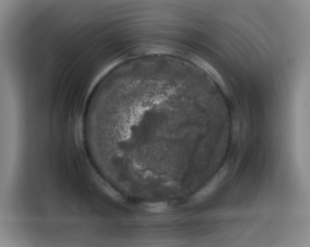 X0000113930798200910021241