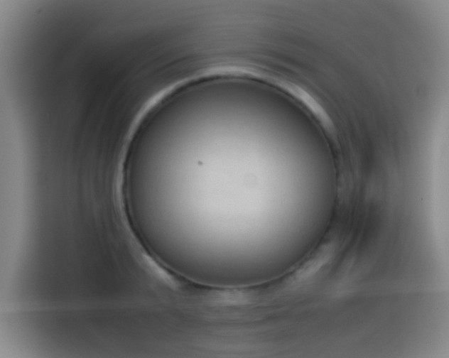 X0000113930799200910021241