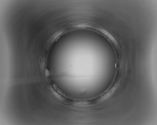 X0000113930801200910021241