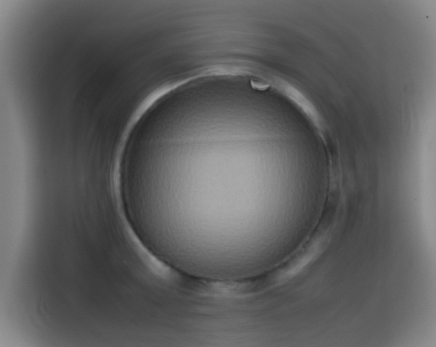 X0000113930803200910021241