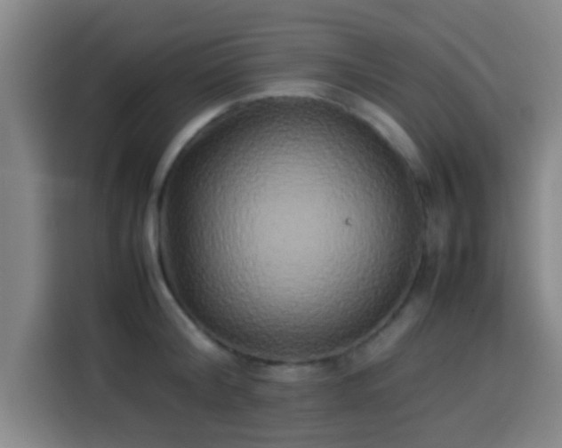 X0000113930804200910021241
