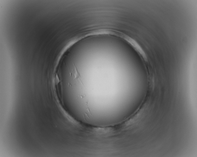 X0000113930805200910021241