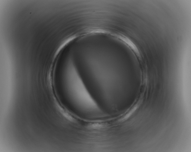 X0000113930806200910021241