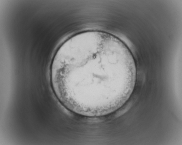 X0000113930807200910021241